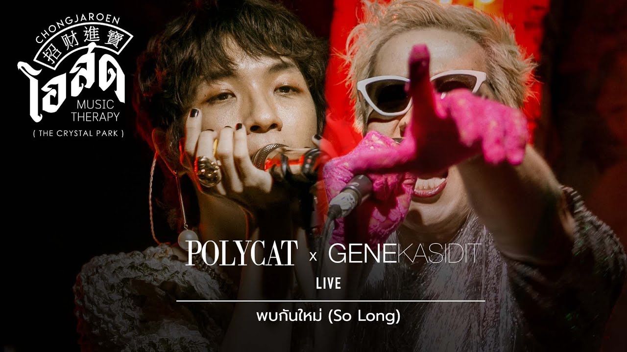 พบกันใหม่ - POLYCAT ft.Gene Kasidit [Live] | @ ชงเจริญ โอสด (เดอะคริสตัล เลียบด่วน) | 16 MAY 22