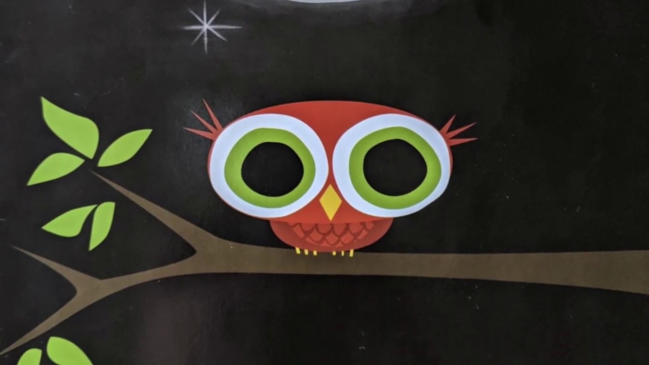 Little Owl's Night by Divya Srinivasan