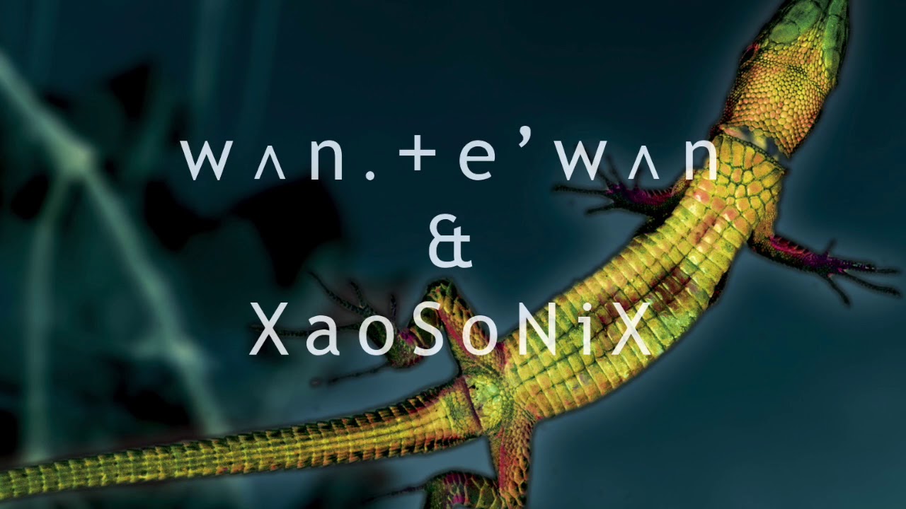 Mauvaises Ondes • Interview avec Daniel B (Front 242) • Daniel B Prothèse  & 99.9