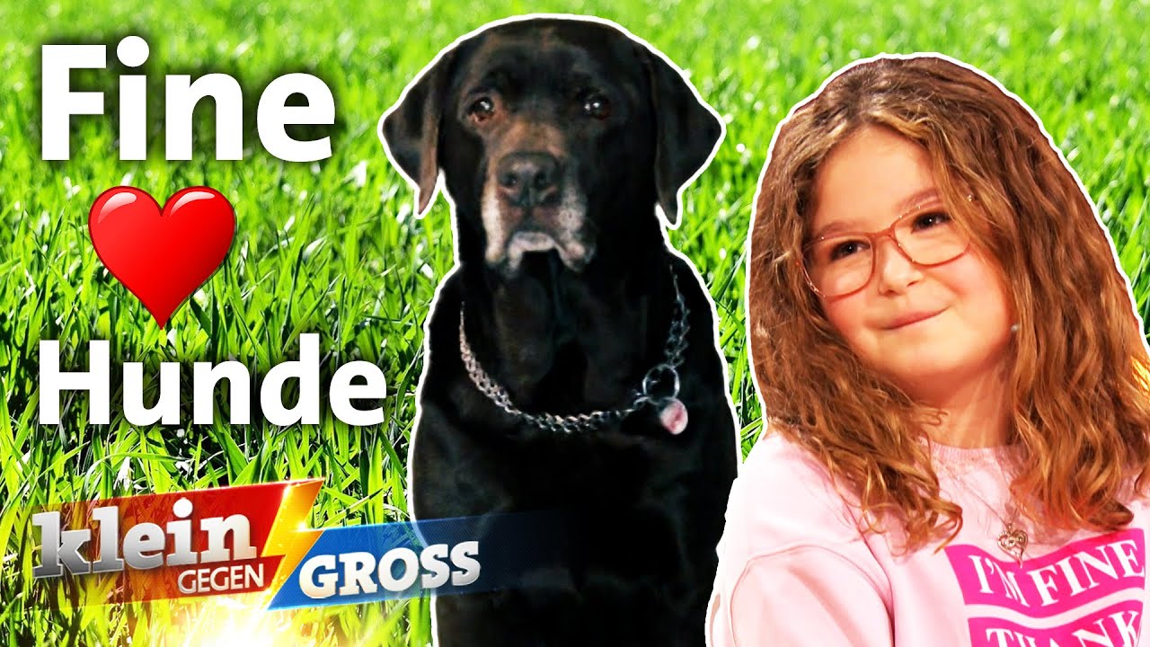 Fine erkennt alle 344 Hunderassen nur an einem Körperteil! | Klein gegen Groß
