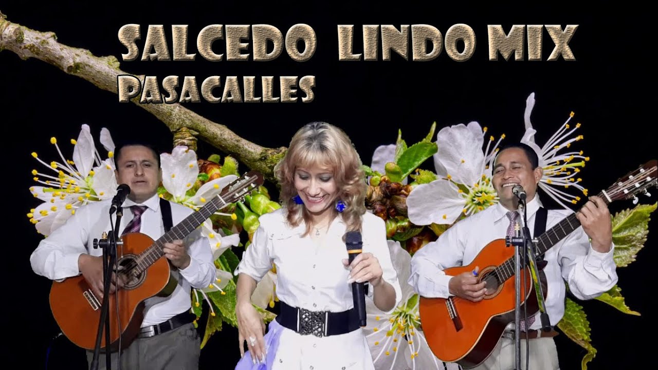 LINDO SALCEDO: PASACALLES MIX/GRUPO MUSICAL LOS MEDINA