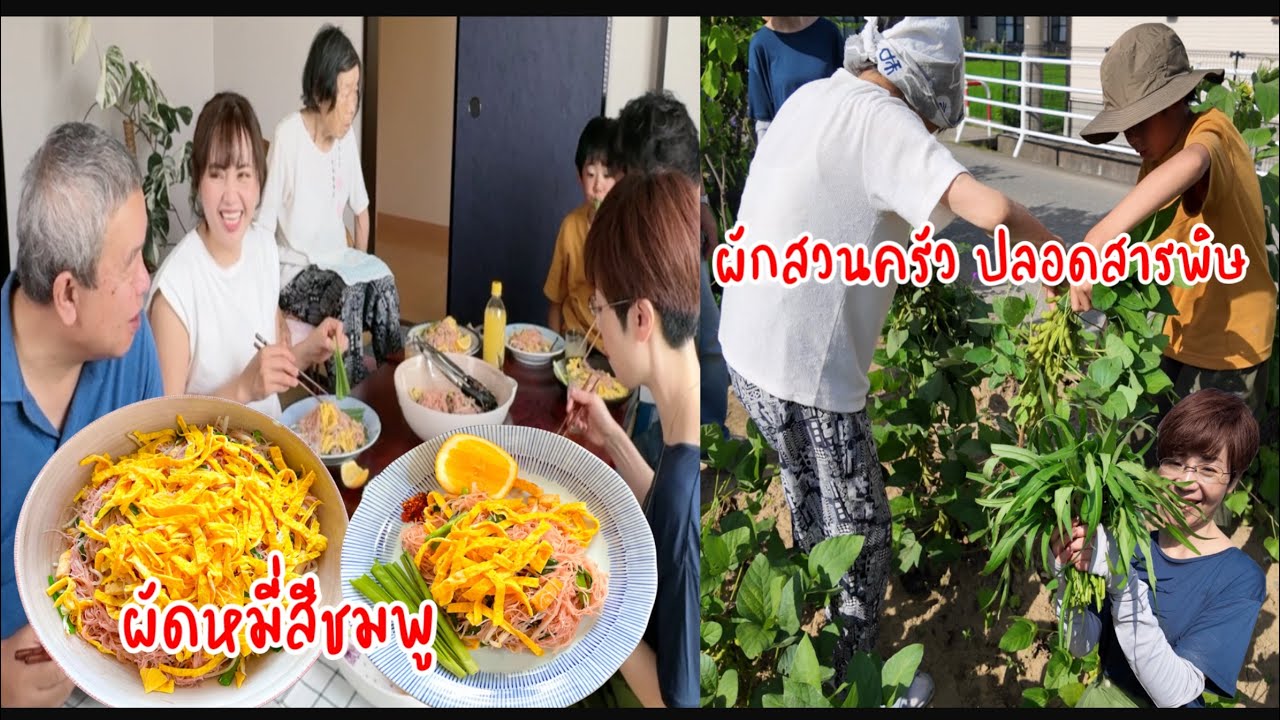 ผักสวนครัวปลอดสารปีนี้ ปลูกอะไรบ้าง?  | คิดถึงเมนูวัยเด็ก ผัดหมี่สีชมพู ทำเยอะแค่ไหนก็หมด🥰