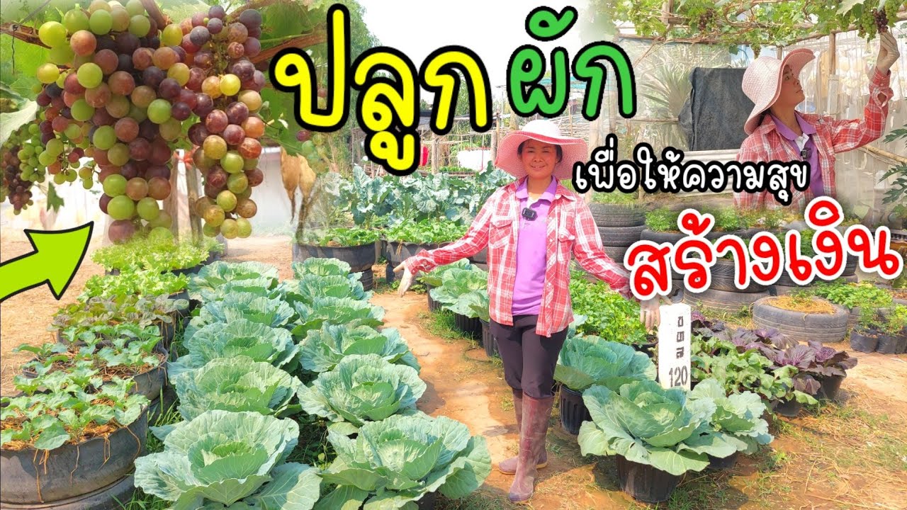 ปลูกผักสวนครัว | เพื่อให้ความสุข | สร้างเงิน กับพี่เกสร🌿