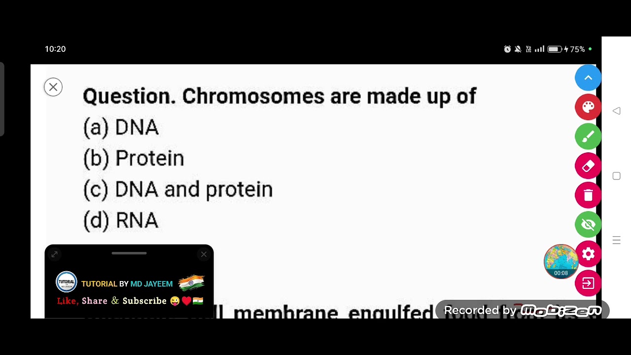 Chromosomes are made up of :-  (a) DNA (b) Protein (c) DNA and protein (d) RNA