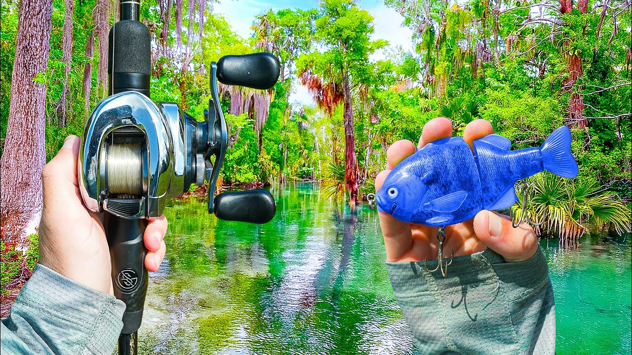 I Found An UNTOUCHED Clear Water LAGOON - It Was LOADED 