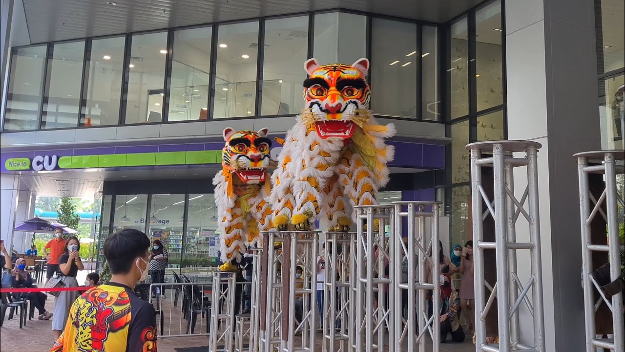 CNY 2022~ Acrobatic Tiger Dance (双虎高桩表演) by Subang Hong Teck 梳邦弘德 @ Thomson Hospital, KD (9/2/2022)