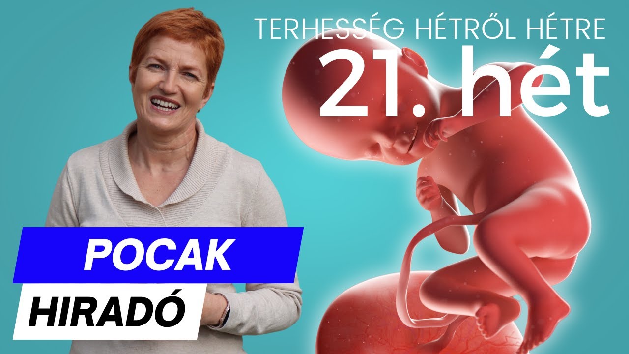 Terhesség 21. hete ∣ Terhesség hétről hétre