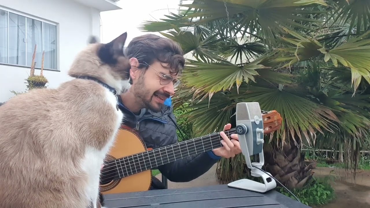 Samba da Minha Terra (Dorival Caymmi) vers. João Gilberto