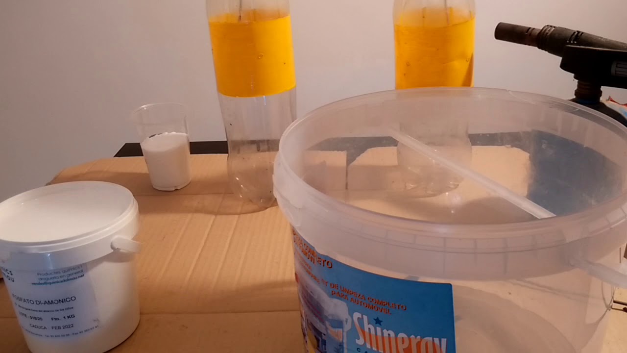 Preparando trampas para mosca del olivo