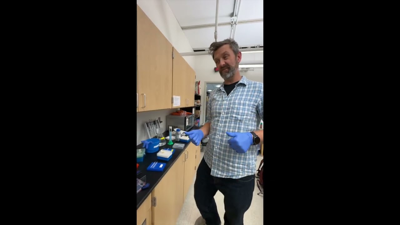Pouring and running a gel