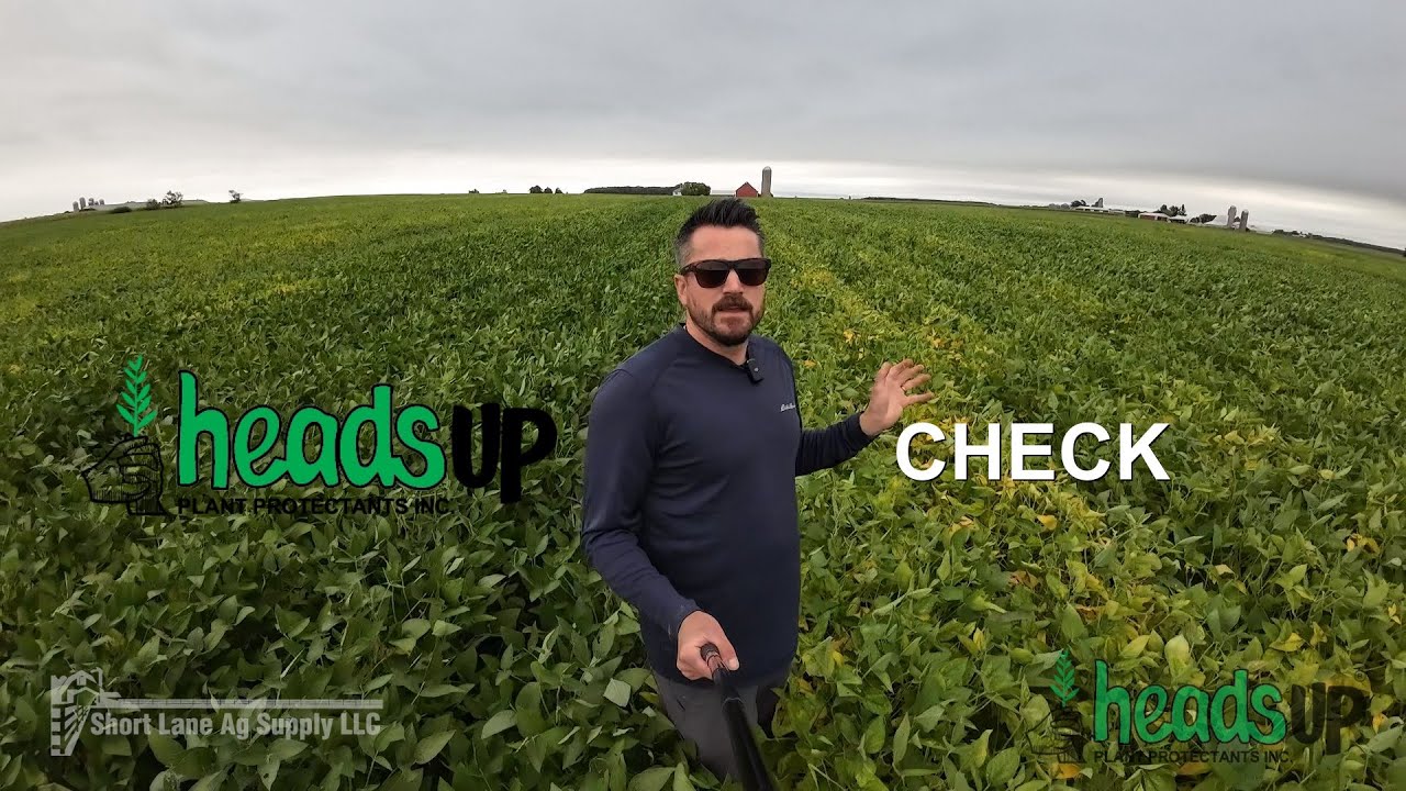 Heads Up Field Trial Update @ Short Lane Ag Supply - 2023