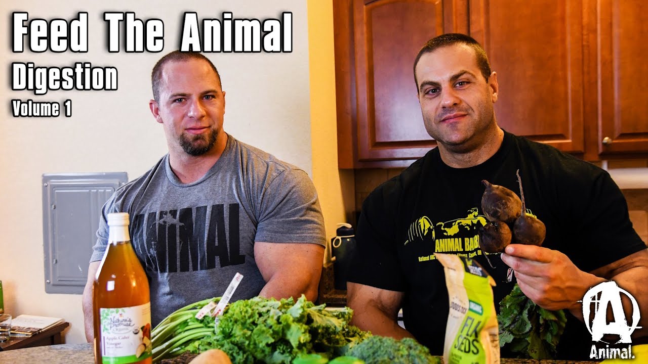 Feed The Animal | Digestion Volume 1