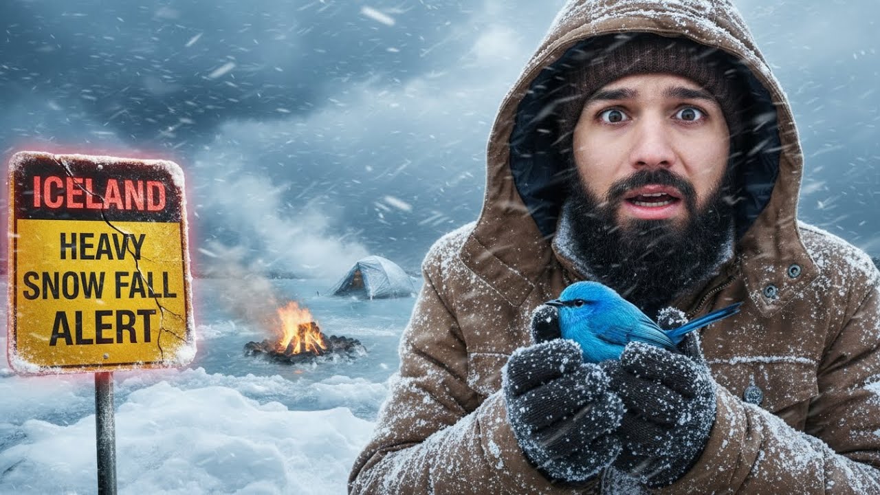 Extreme Blizzard in Iceland ❄️⚠️ | Heavy Snowfall Alert at Blue Lagoon | Wildlife Rescue Survival