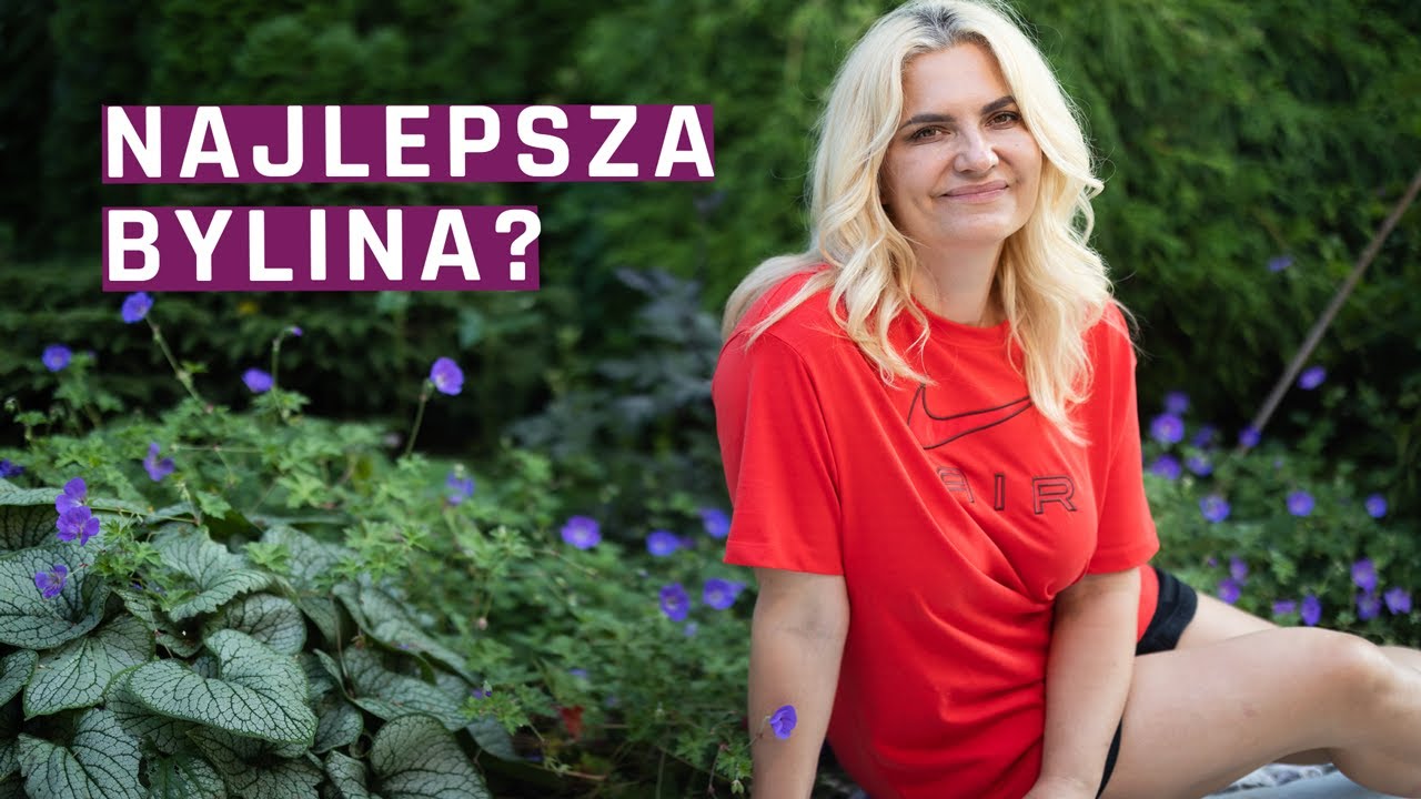 Bylina idealna? Czy bodziszek Rozanne zasługuje na to miano?