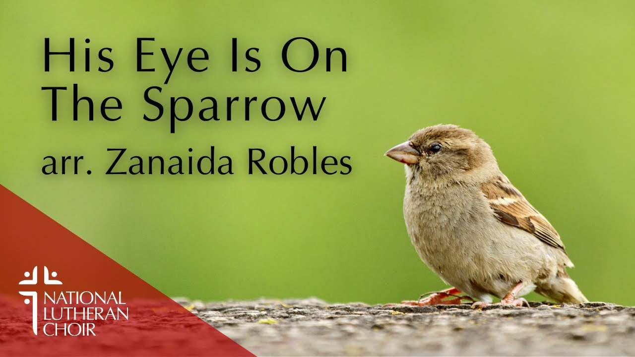 His Eye Is On The Sparrow - Arr. Zanaida Robles | National Lutheran Choir
