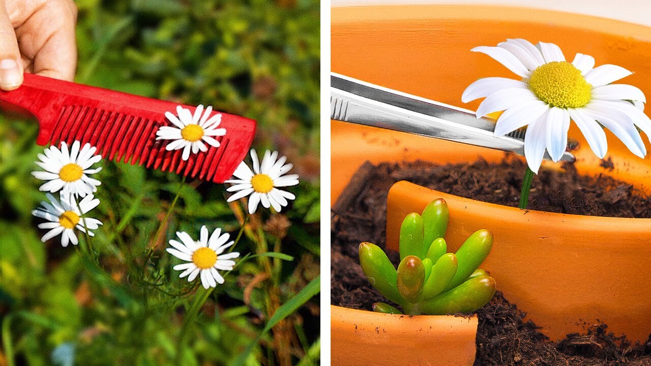 Tus Plantas No Están Muriendo 🌸 Solo Necesitan Este Pequeño Secreto Invisible 👩‍🌾