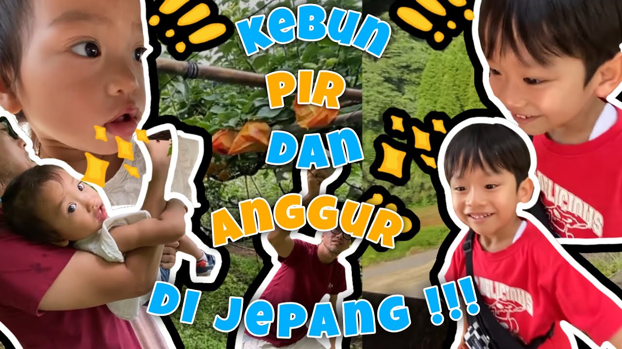 KEBUN PIR DAN ANGGUR DIJEPANG‼️MAKAN SEPUASNYA HAPPY WEEKEND