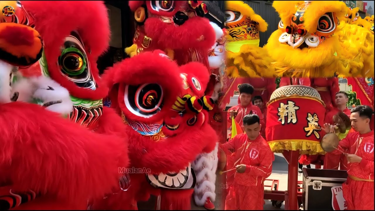 2026年 舞狮 精英堂龙狮团 金龍-醒獅-鼓陣表演 - TINH ANH DUONG
