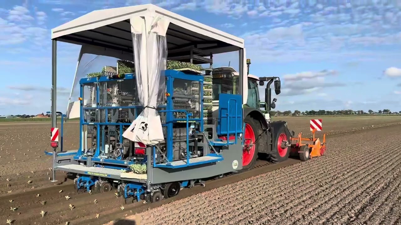 Automatic transplanting with www.tts-transplanter.com