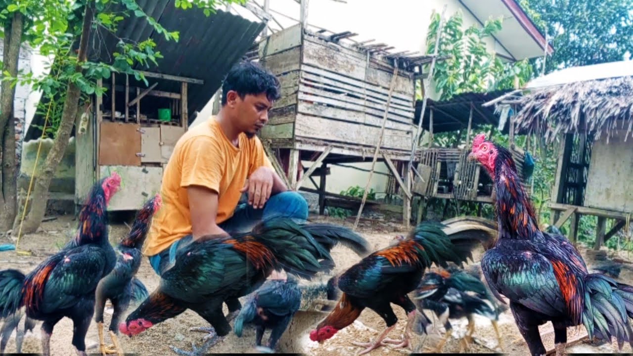 USAHA SEPERTI INI SANGAT MENGHIBURKAN