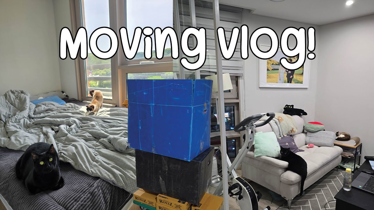 Korean Apartment Moving Vlog! Two Room Officetel Apartment in Seoul Suburb 투룸 오피스텔 투어~
