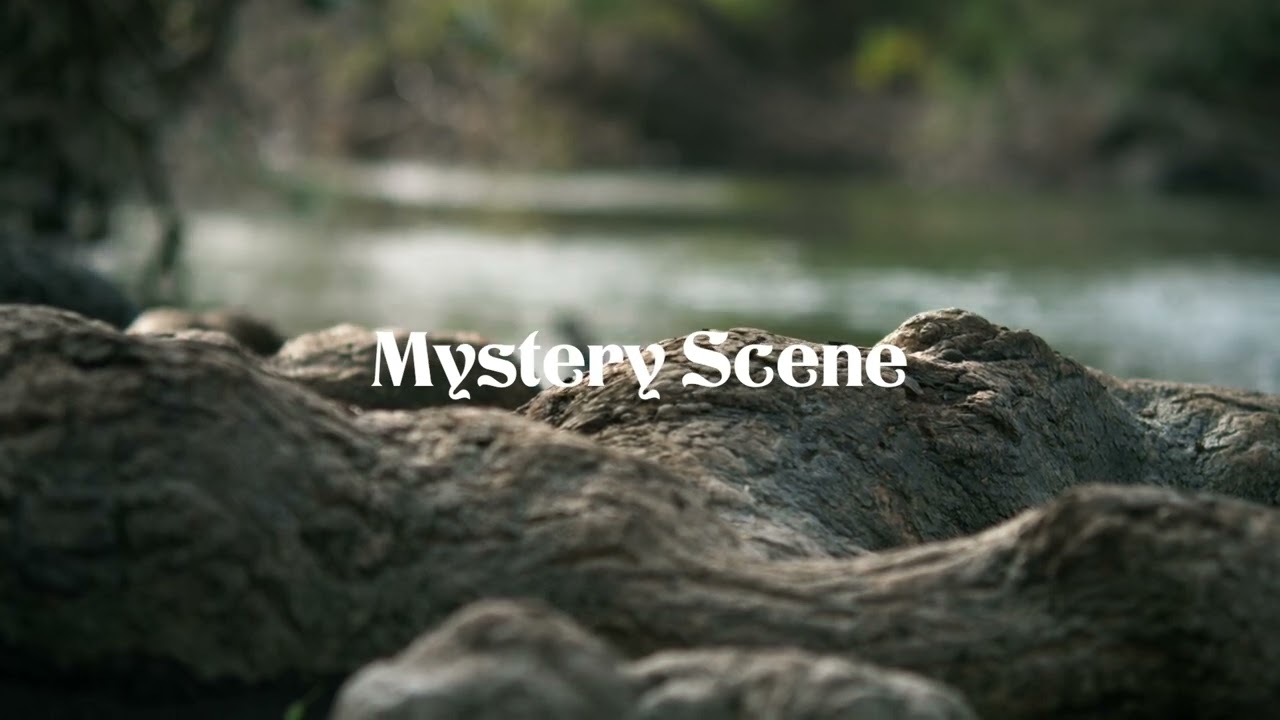 Playlist l Cinematic Sound [Mystery Scene]
