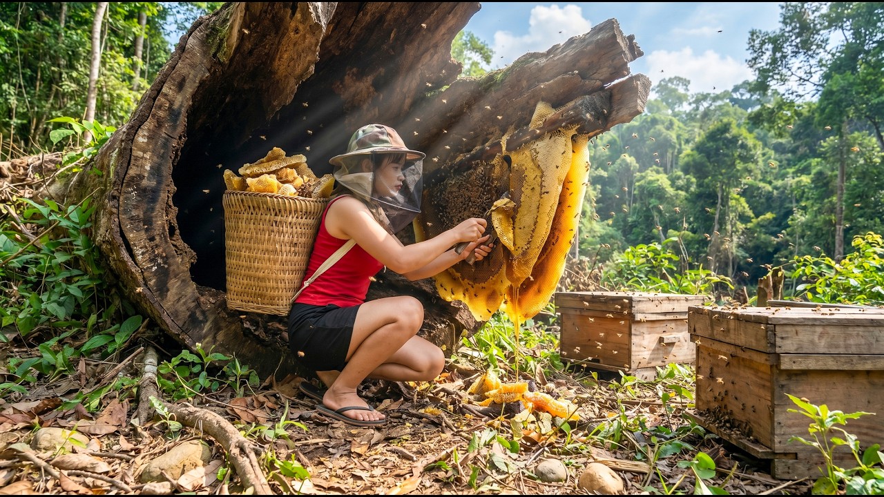 TIMELAPSE - Harvesting a GIANT Beehive in the Forest and Taking It to Market to Sell