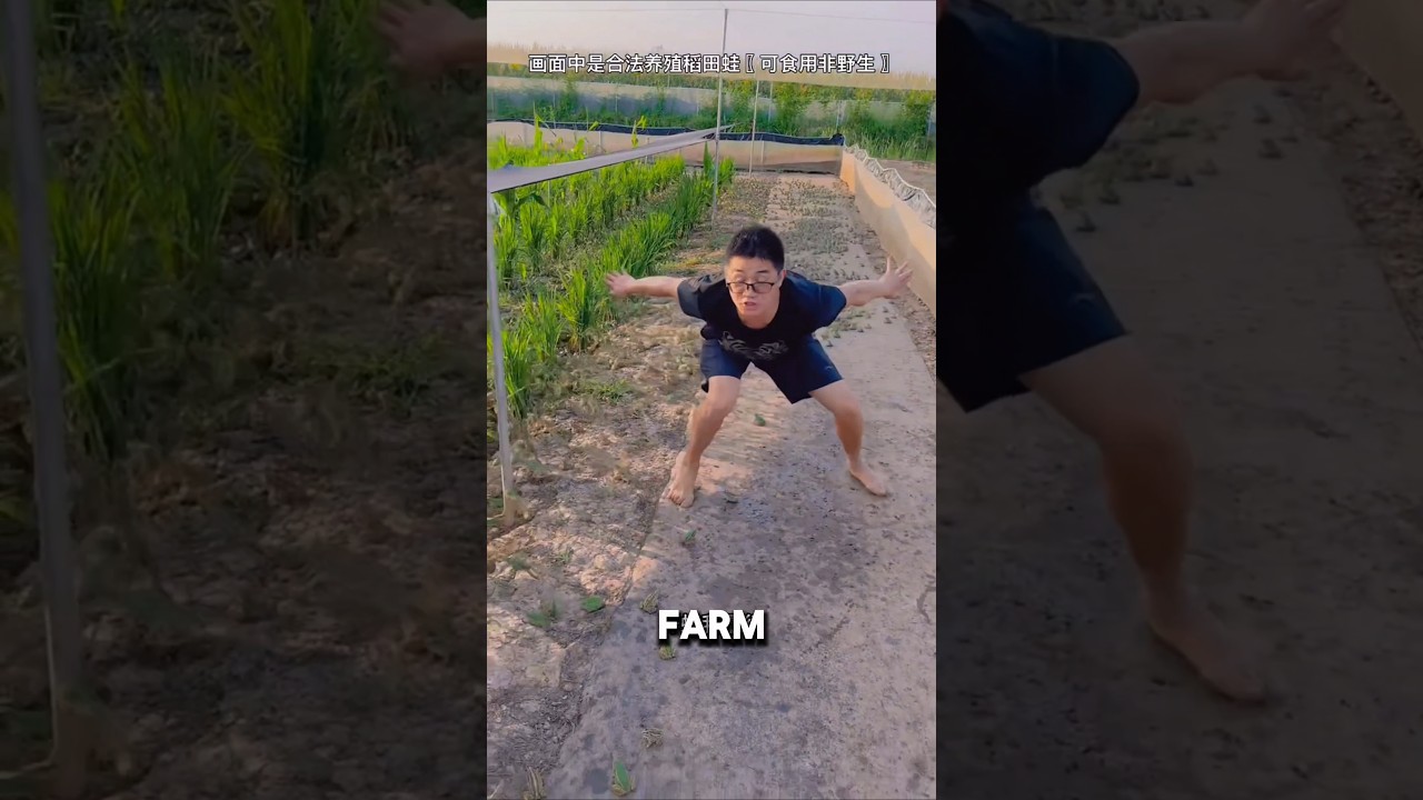 🎍Забавное приключение на ферме лягушек, где спрятались лягушки🐸 