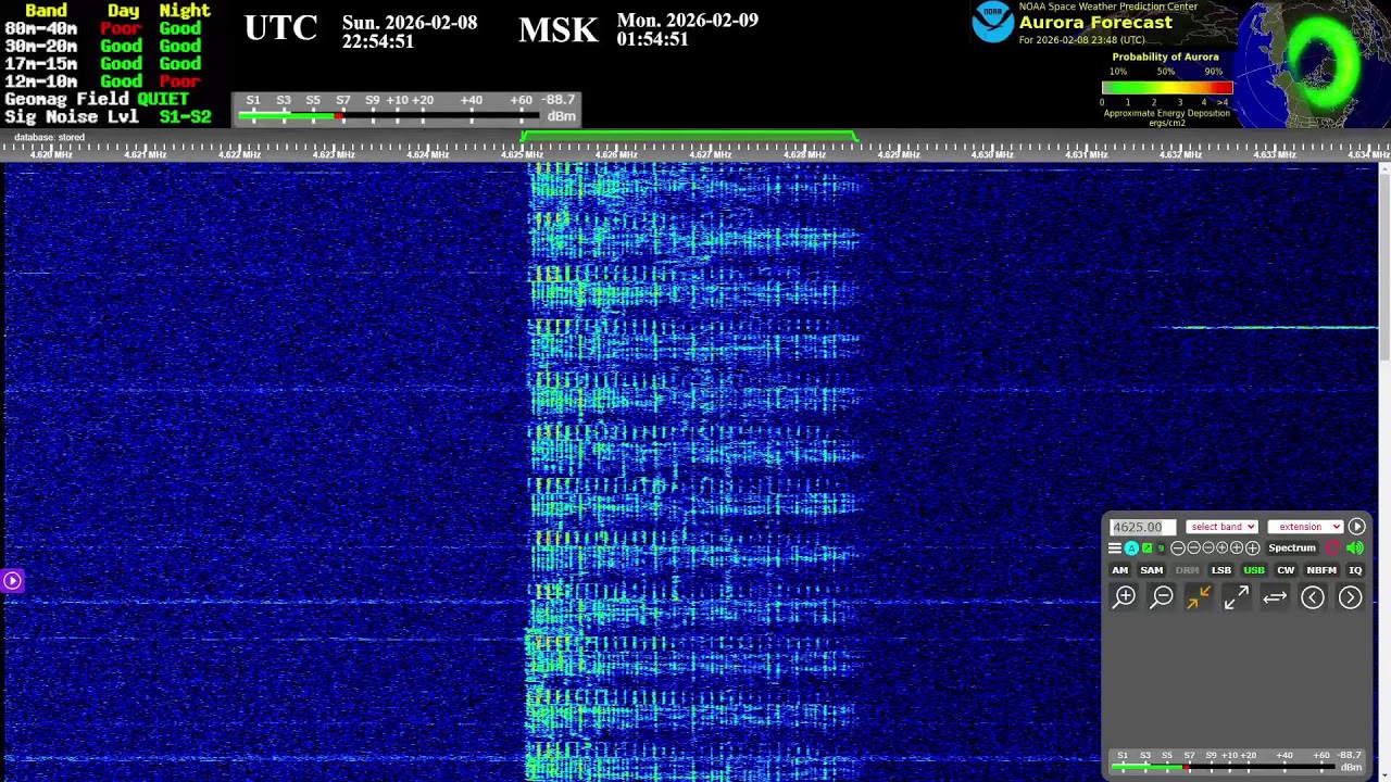 The Buzzer (4625khz) - Live