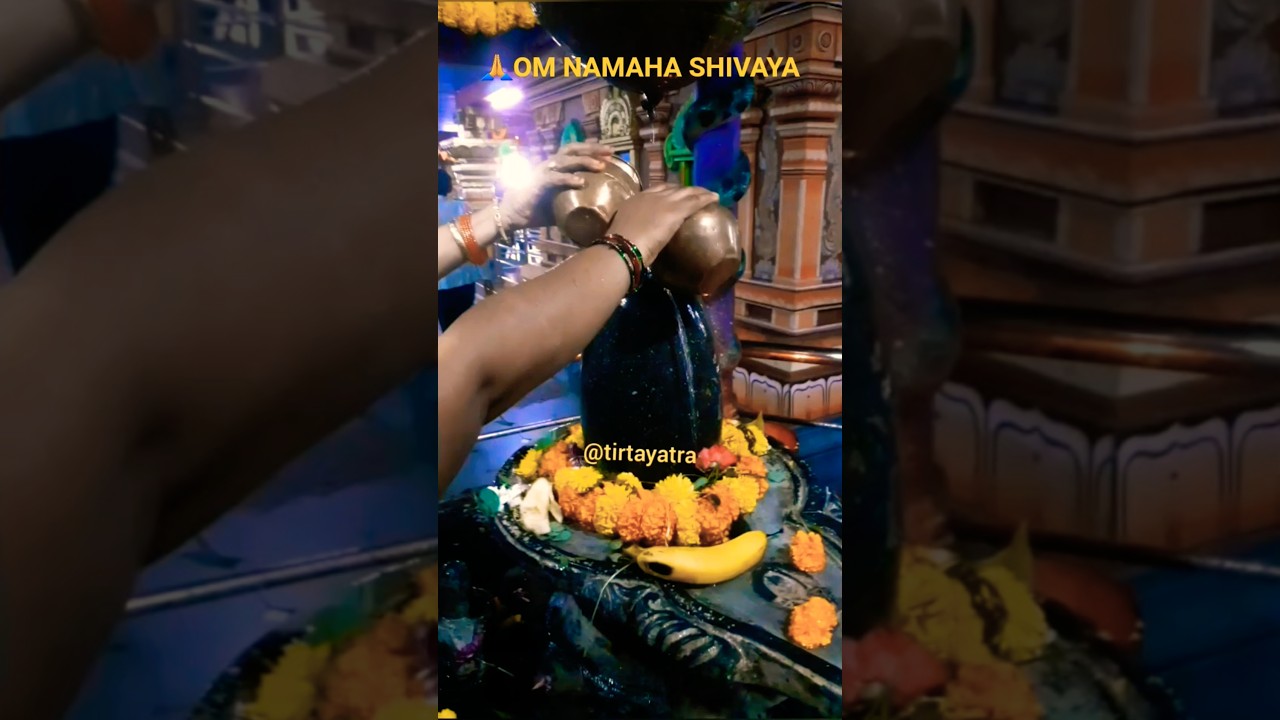OM NAMAHASHIVAYA #shiva #om #namahshivaya #rudra #bhakti #durga #tirtayatra #shivashakti @tirtayatra