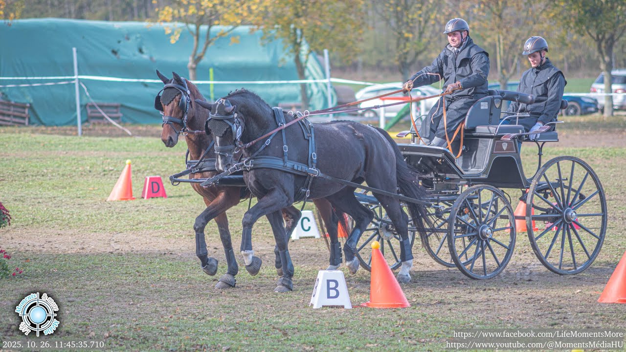 Kovács Imre Vk Sokorópátka akadályhajtás, Obstacle driving class in carriage driving