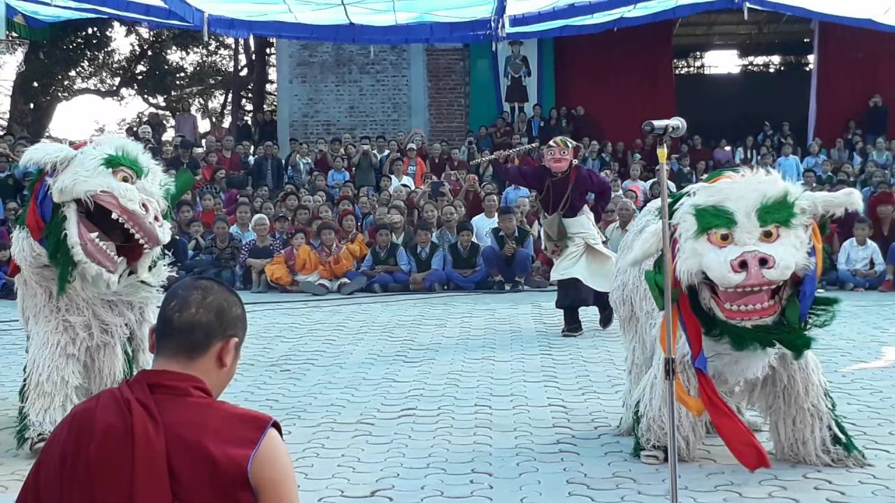 Tibetan snow lion DANCE Perform by Lower TCV children.
