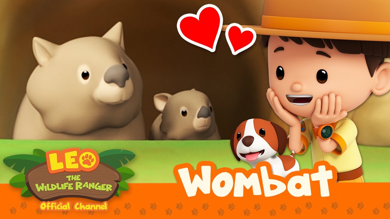 This CUTE animal has SQUARE POO POO?! 💩 | Wombat | Leo the Wildlife Ranger | #compilation