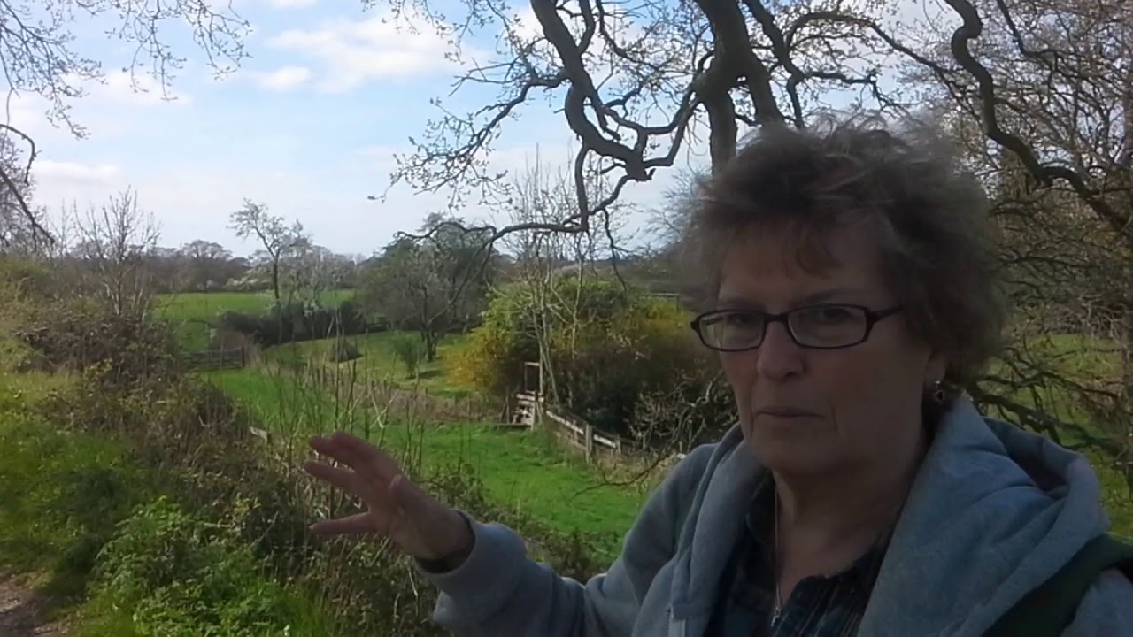 Forts, Castles and Palaces Ep.01: Calleva Atrebatum with Lyn Pease