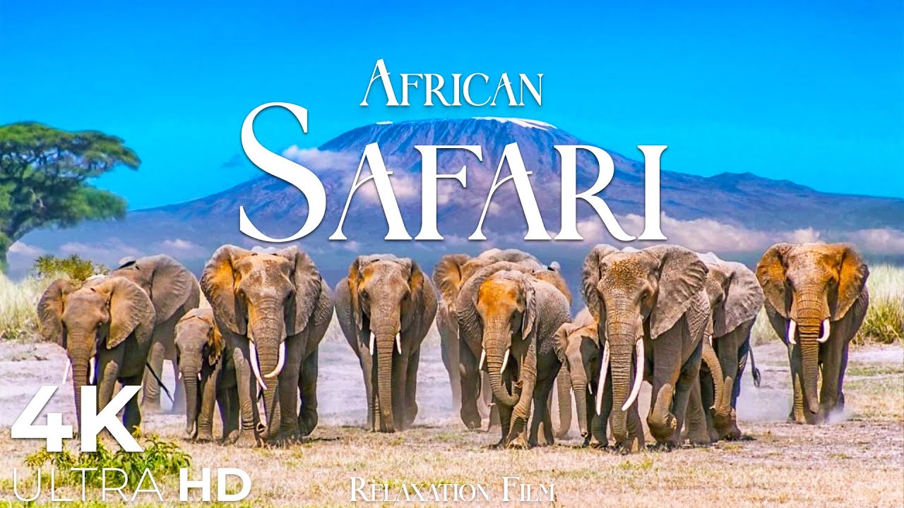 African Safari 4K &bull; Wildlife Relaxation Film | Nature 4K Ultra HD