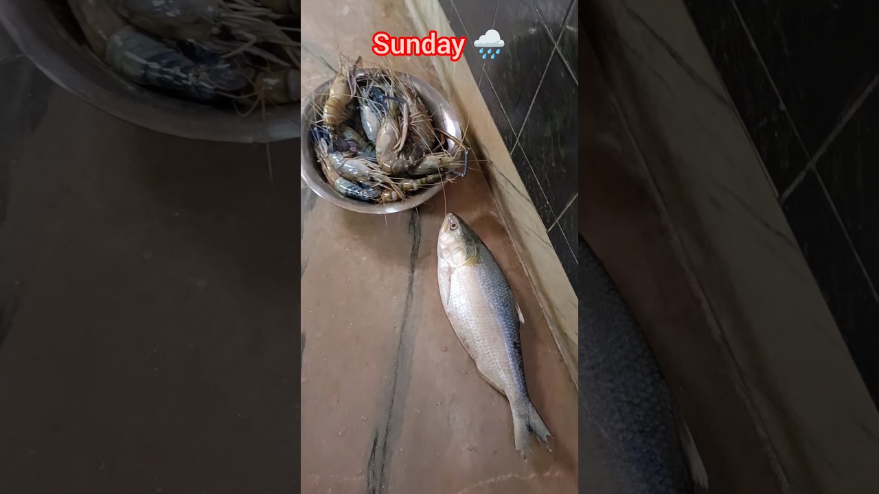Happy Sunday 🌞.#foryou #minivlog #youtubeshorts #fish #ilish #rain #chingri #shorts