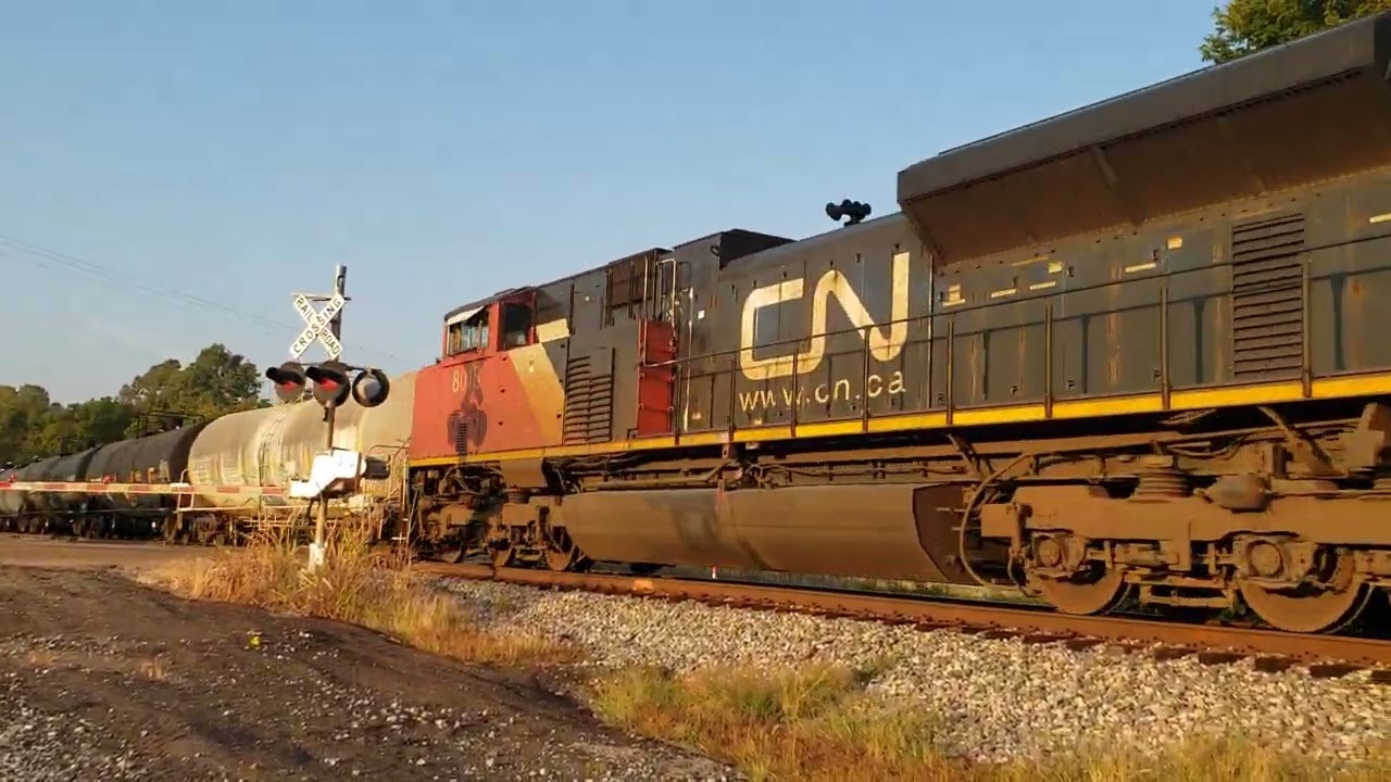 Canadian National 2310, 8900 & 8018 Freight Train 