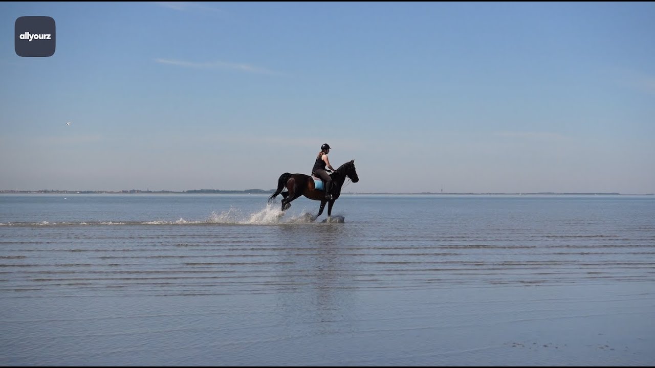 Rustige stranden op Tholen, Zeeland | allyourz