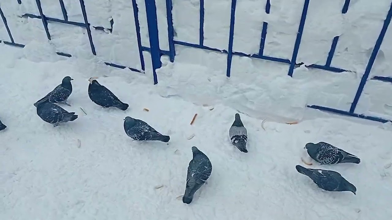 Идём до панорамы и в ЦРБ