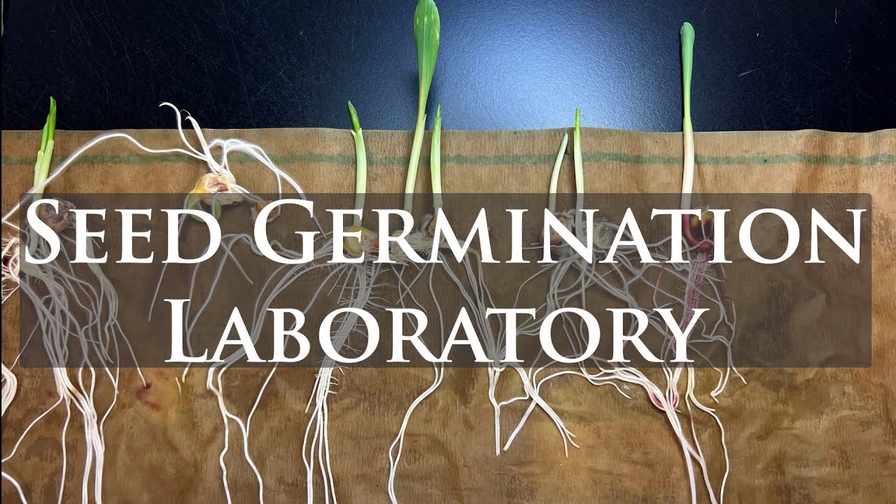 Seed Germination in the National Plant Germplasm System: NCRPIS, Ames, Iowa