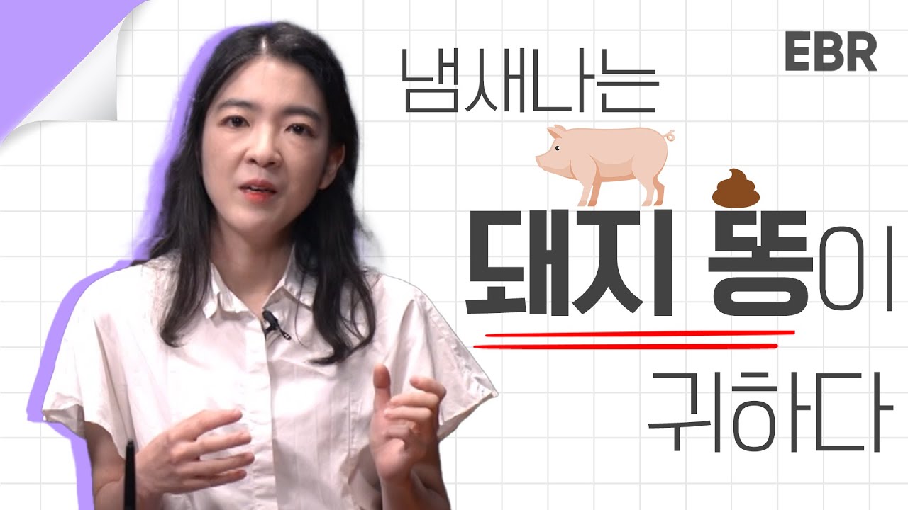 돼지 똥 어떻게 처리하나 고민하다가.. 뜻밖의 발견 [EBR 윤지로] 1/4