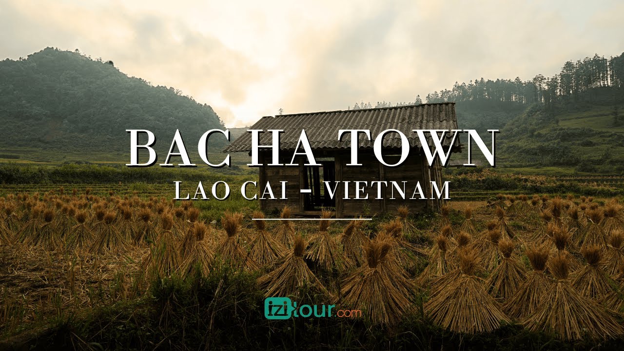 Highland Beauty of Bac Ha Town, Lao Cai