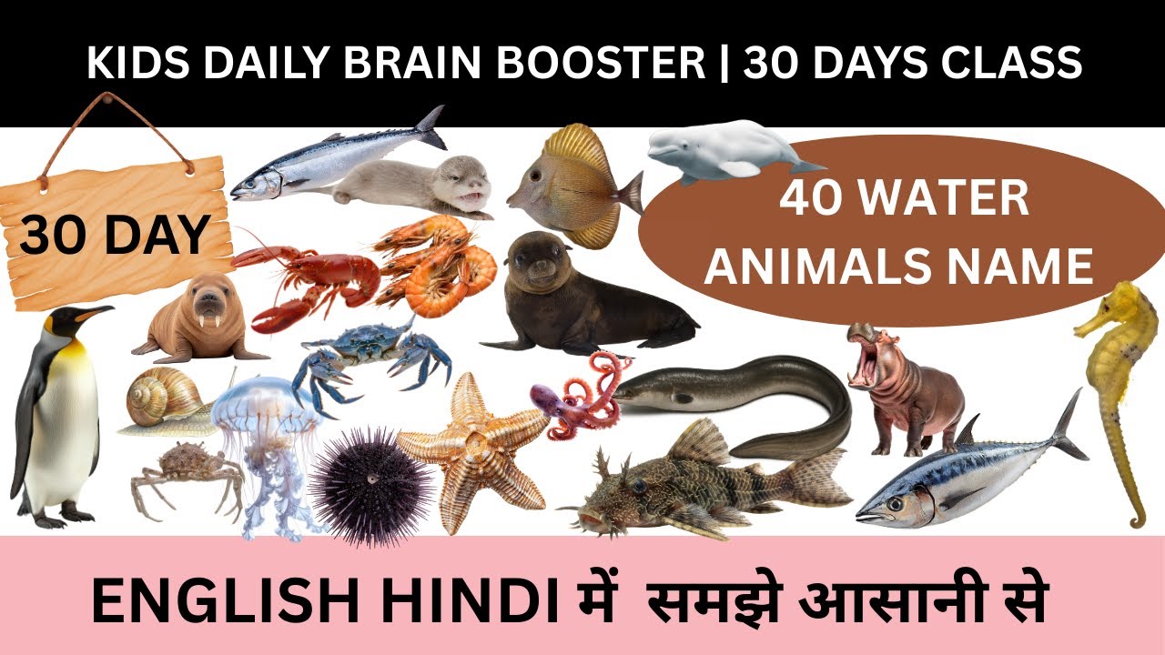 Kids Daily Brain Booster Day 30 | Water Animals Name in English & Hindi | Day 30 of 30 Days