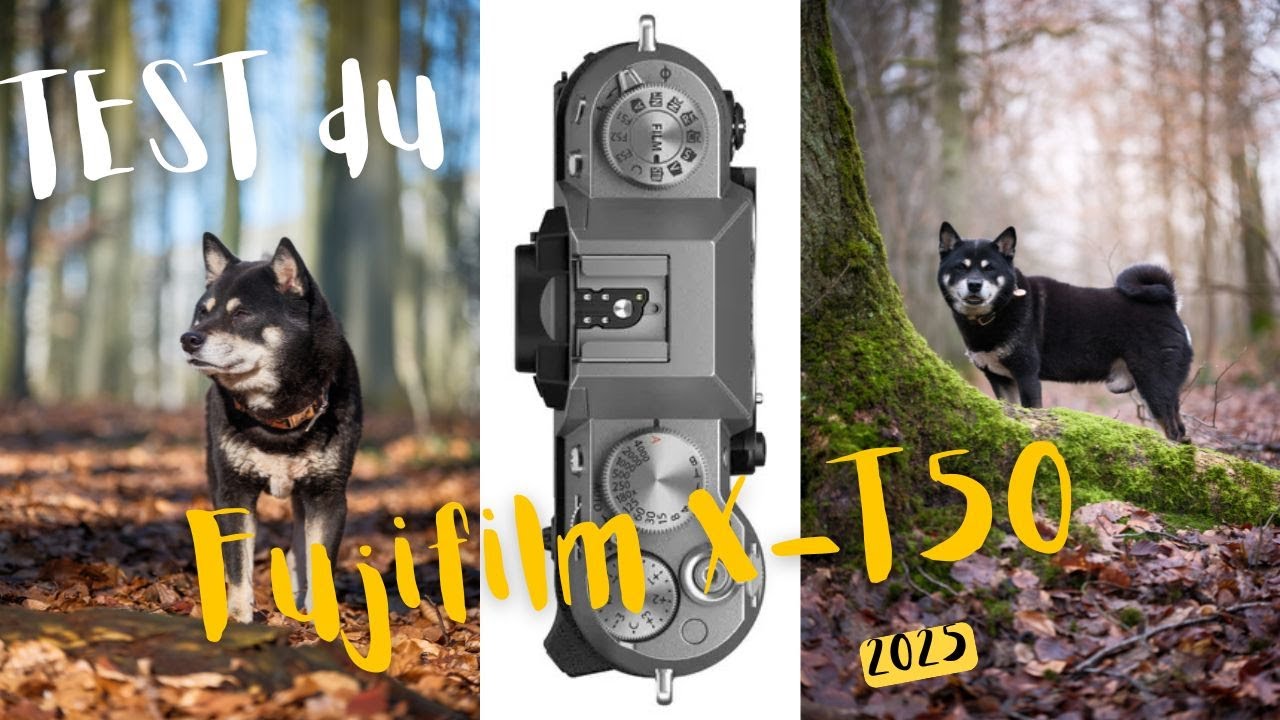 Fujifilm X-T50 : Le Meilleur Appareil pour Photographier les Chiens ? 🐶📸