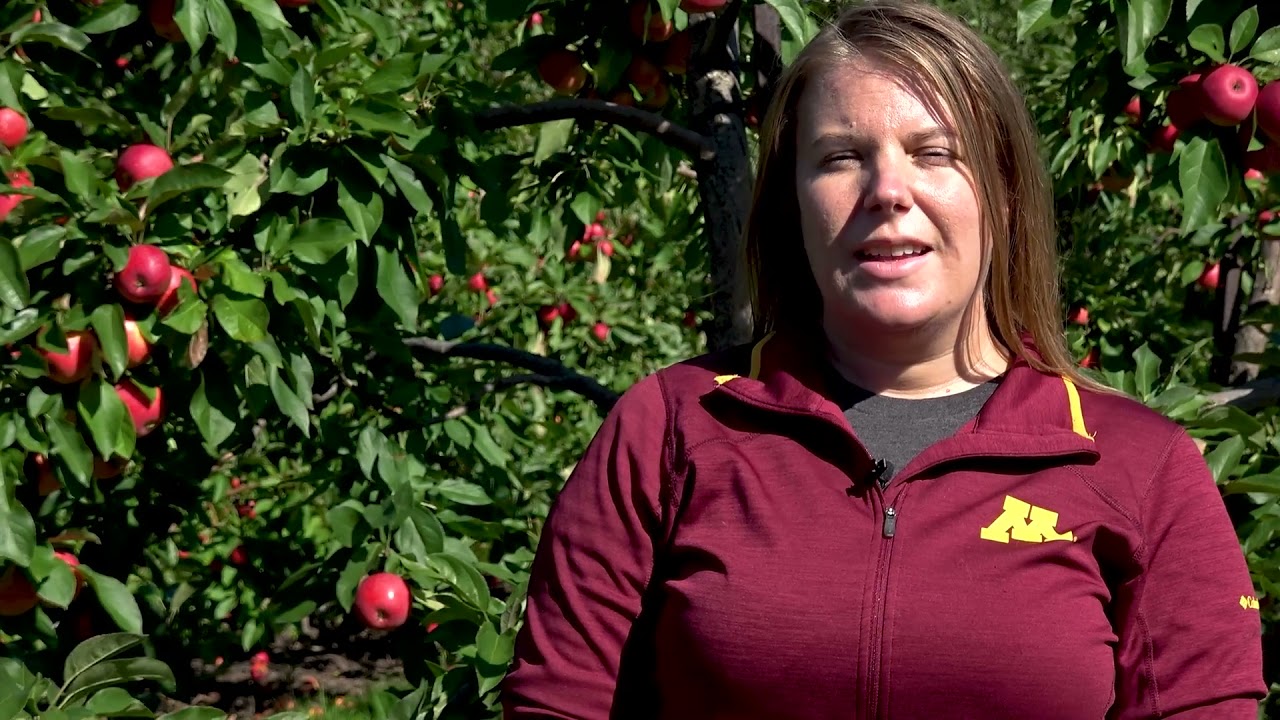 Climate Change and Fruit Crops: Growing Resilient Crops