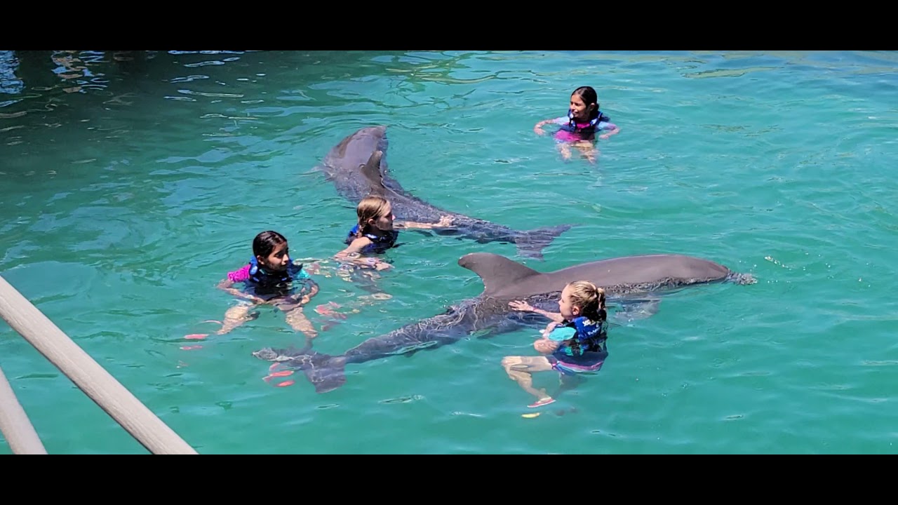 xcaret swimming with Dolphins