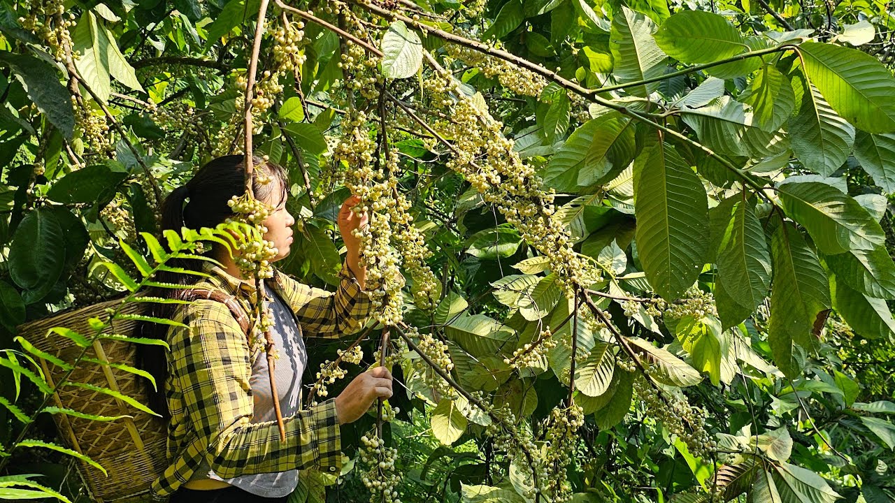 Romantic couple in the forest sharing a kiss, Harvesting fruits and vegetables for sale. Linh's Life
