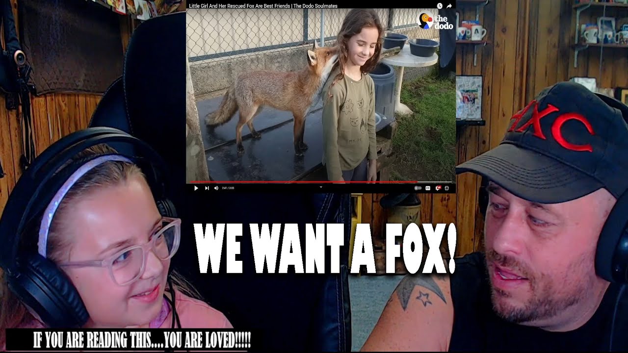 Little Girl And Her Rescued Fox Are Best Friends | The Dodo Soulmates Highly And Violet REACTION!