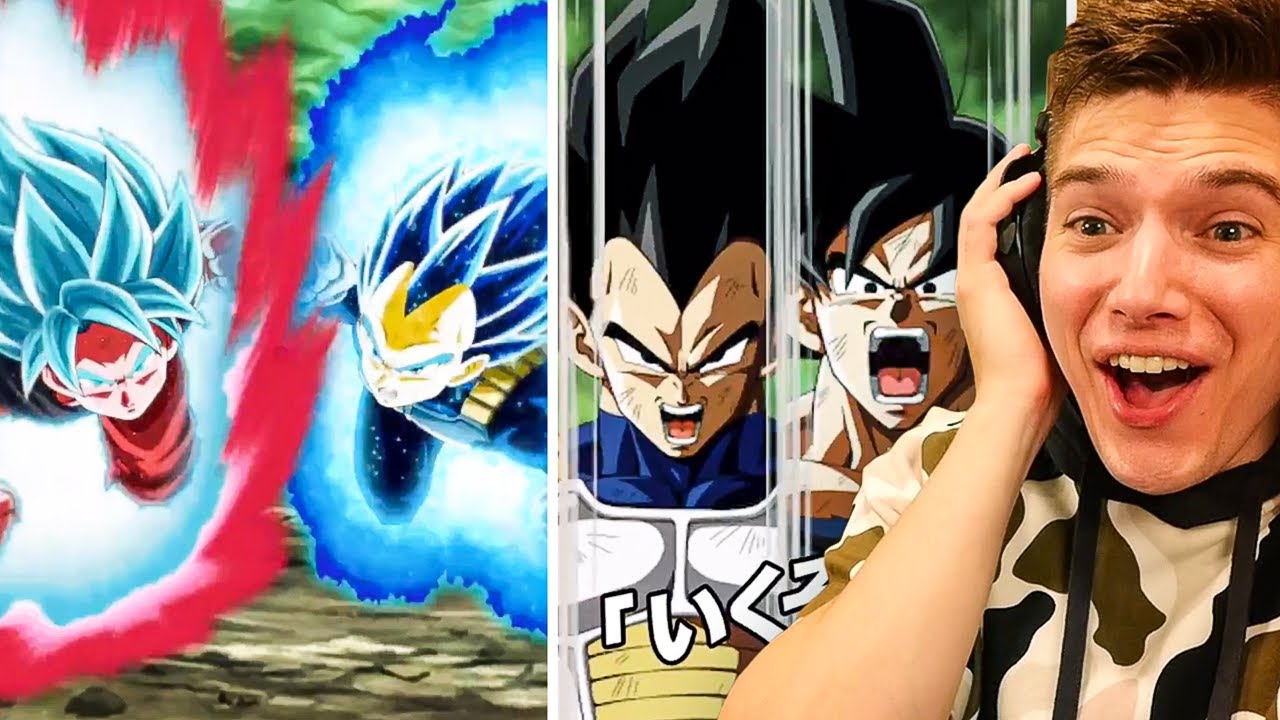 NEW LR SSBK Goku & SSB Evolution Vegeta Super Attacks Reaction on Dokkan Battle!