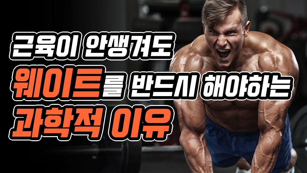 근육이 안생겨도 웨이트 트레이닝 운동을 반드시 해야하는 과학적 이유